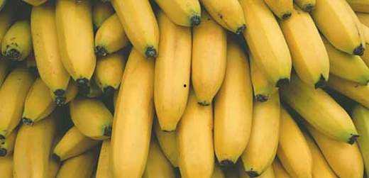 国产香蕉网,探索中国香蕉产业的魅力与未来